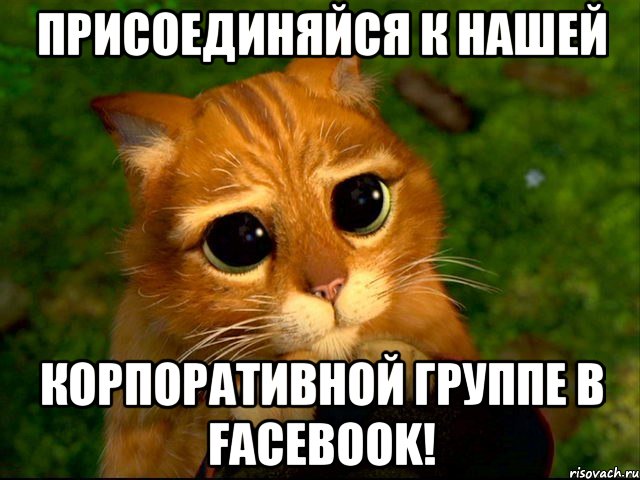 Присоединяйся к нашей корпоративной группе в Facebook!, Мем кот из шрека