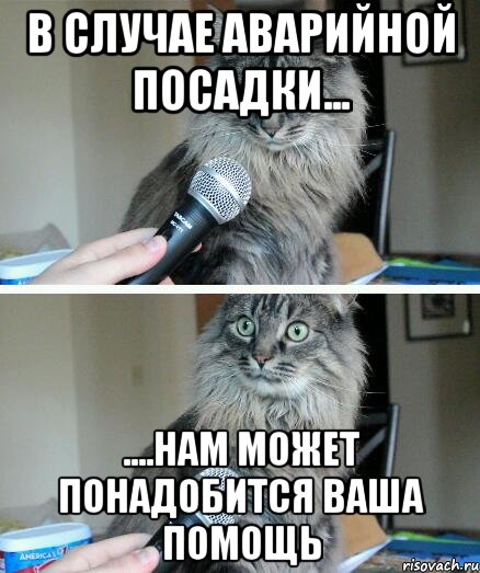 В случае аварийной посадки... ....нам может понадобится ваша помощь, Комикс  кот с микрофоном