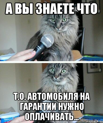 А вы знаете что Т.О. автомобиля на гарантии нужно оплачивать..., Комикс  кот с микрофоном