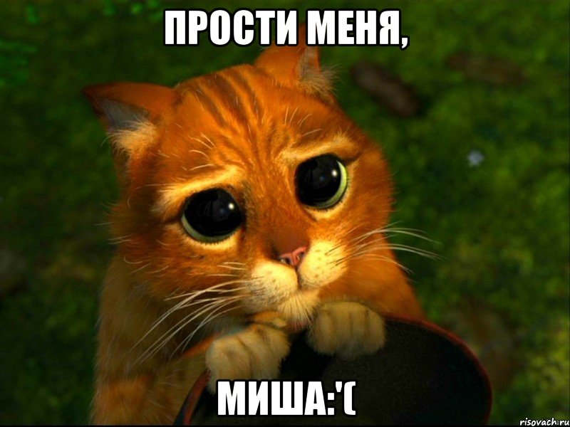 Прости меня, МИША:'(, Мем кот из шрека