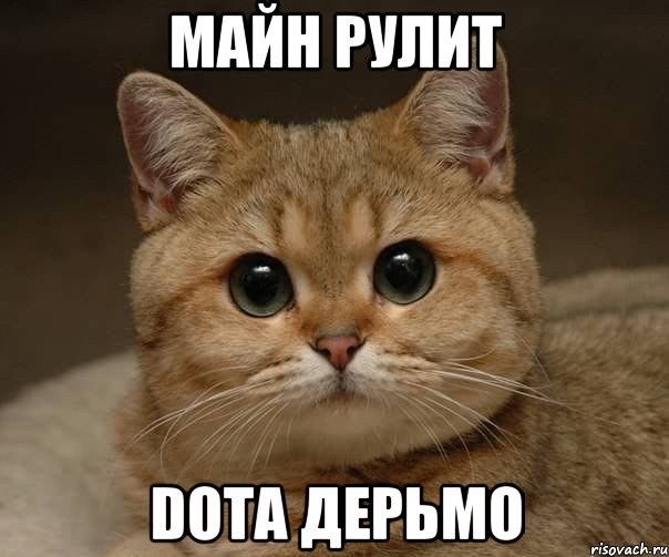 Майн рулит Dota дерьмо, Мем Пидрила Ебаная