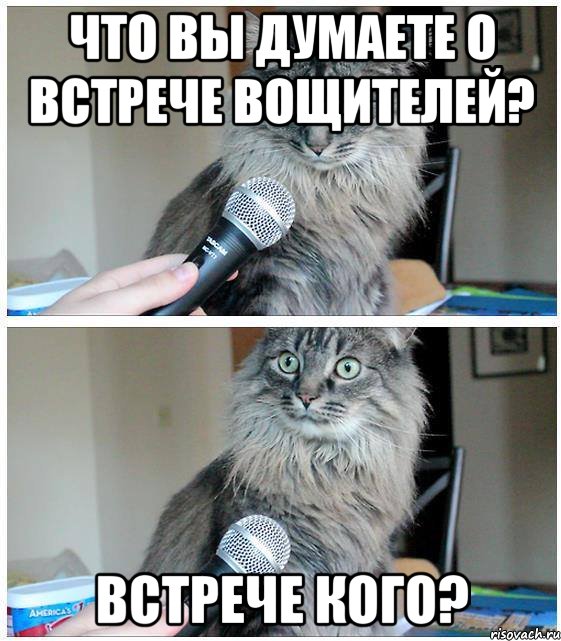 Что вы думаете о встрече вощителей? встрече КОГО?, Комикс  кот с микрофоном