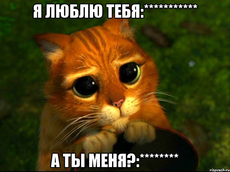 я люблю тебя:*********** а ты меня?:********