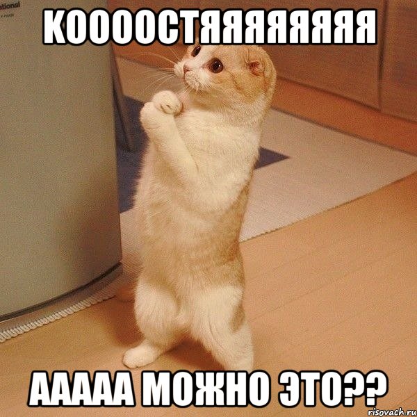 Kоооостяяяяяяяя Aaaaa можно это??, Мем  котэ молится