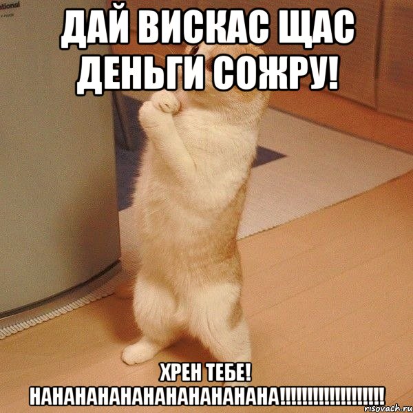 дай вискас щас деньги сожру! хрен тебе! нанананананананананана!!!!!!!!!!!!!!!!!!!