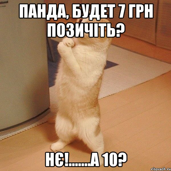 Панда, будет 7 грн позичіть? Нє!.......А 10?, Мем  котэ молится