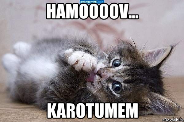 HAMOOOOV... KAROTUMEM, Мем  котенок