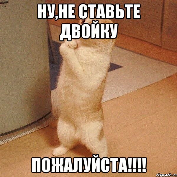 ну,не ставьте двойку пожалуйста!!!!, Мем  котэ молится