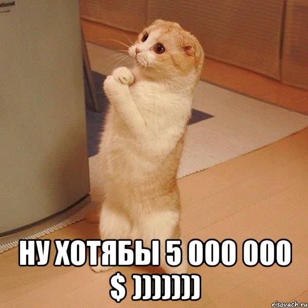  ну хотябы 5 000 000 $ ))))))), Мем  котэ молится