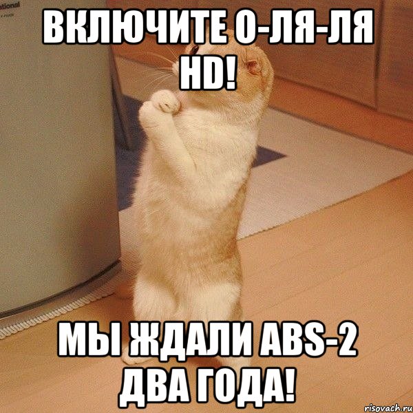 Включите О-Ля-Ля HD! Мы ждали ABS-2 два года!, Мем  котэ молится