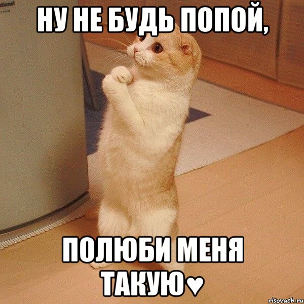 Ну не будь попой, полюби меня такую♥, Мем  котэ молится