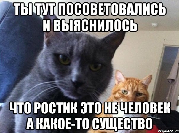 Ты тут посоветовались и выяснилось Что ростик это не человек а какое-то существо, Мем  Два котэ