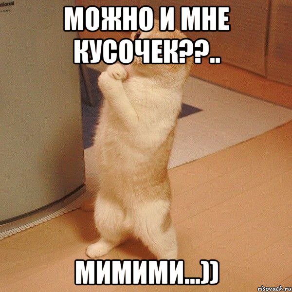 можно и мне кусочек??.. мимими...)), Мем  котэ молится