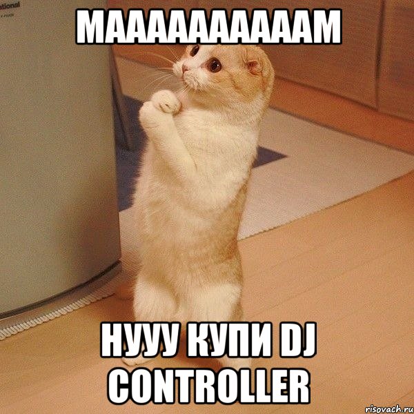 Маааааааааам Нууу купи dj controller, Мем  котэ молится