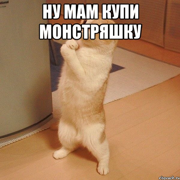 Ну мам купи монстряшку 