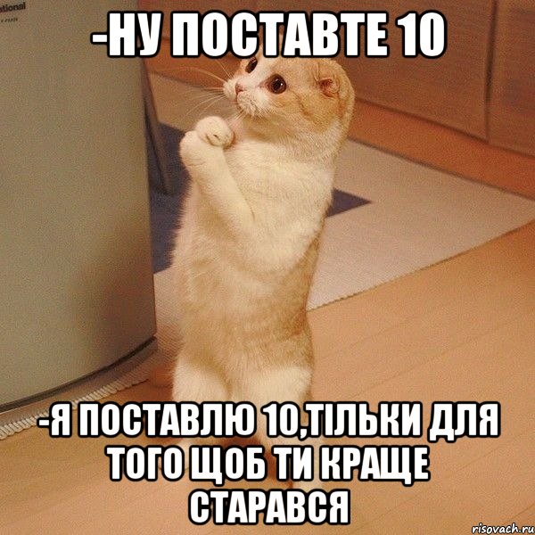 -Ну поставте 10 -Я поставлю 10,тільки для того щоб ти краще старався, Мем  котэ молится