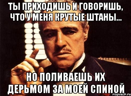 ты приходишь и говоришь, что у меня крутые штаны... но поливаешь их дерьмом за моей спиной, Мем крестный отец