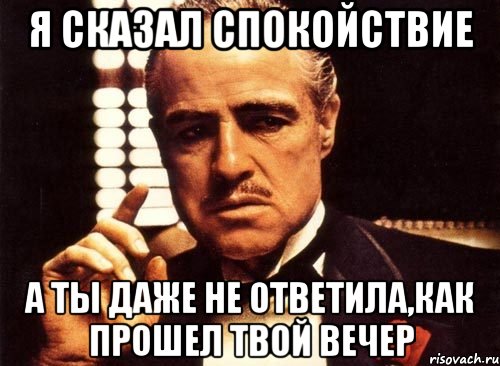 Я сказал спокойствие А ты даже не ответила,как прошел твой вечер, Мем крестный отец