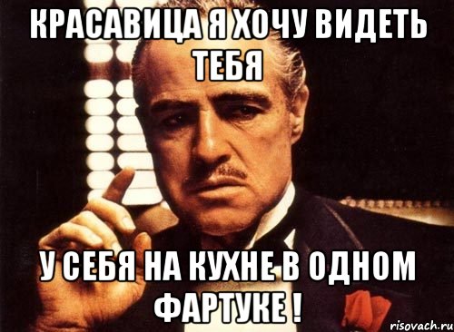 Красавица я хочу видеть тебя У себя на кухне в одном фартуке !, Мем крестный отец