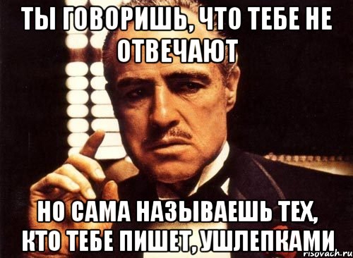 ты говоришь, что тебе не отвечают Но сама называешь тех, кто тебе пишет, ушлепками, Мем крестный отец