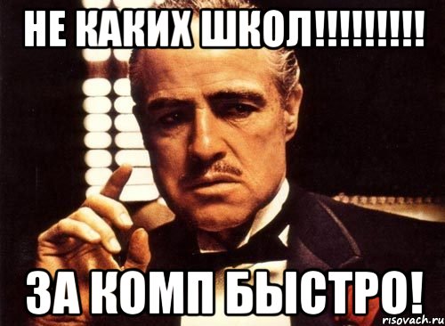 не каких школ!!!!!!!!! за комп быстро!, Мем крестный отец