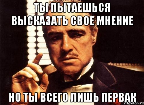 Ты пытаешься высказать свое мнение но ты всего лишь первак, Мем крестный отец