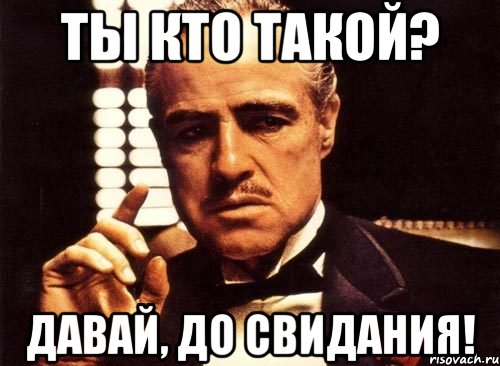 Ты кто такой? Давай, ДО СВИДАНИЯ!, Мем крестный отец