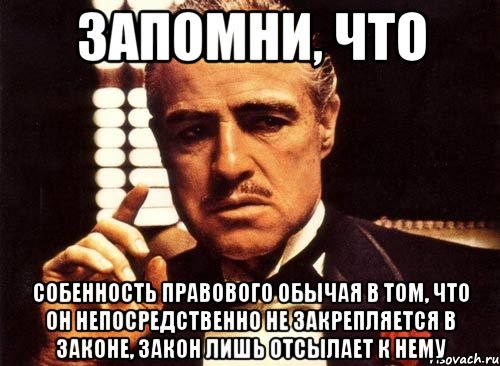 Запомни, что собенность правового обычая в том, что он непосредственно не закрепляется в законе, закон лишь отсылает к нему, Мем крестный отец