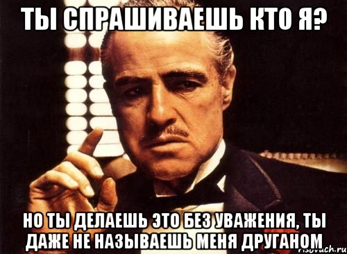 ты спрашиваешь кто я? но ты делаешь это без уважения, ты даже не называешь меня друганом, Мем крестный отец