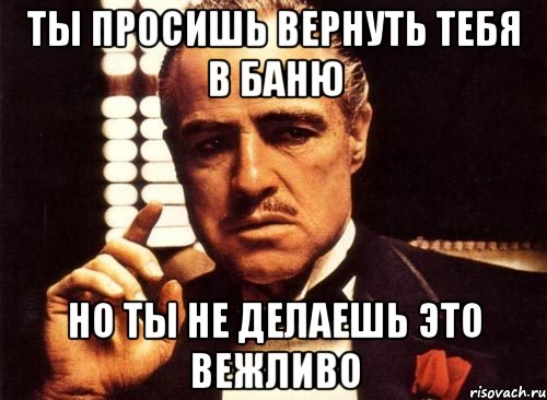 ты просишь вернуть тебя в баню но ты не делаешь это вежливо, Мем крестный отец