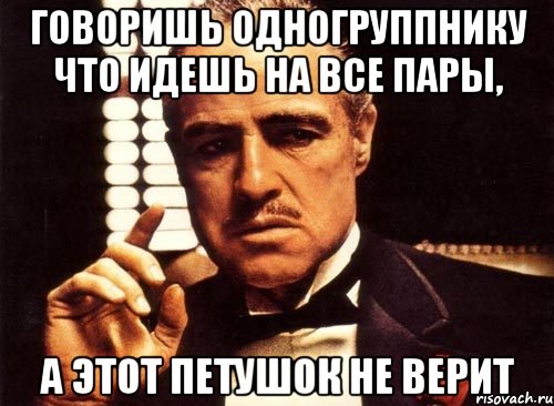 Говоришь одногруппнику что идешь на все пары, А этот петушок не верит, Мем крестный отец