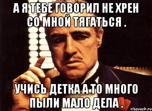 а я тебе говорил не хрен со мной тягаться . учись детка а то много пыли мало дела ., Мем крестный отец