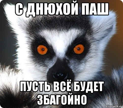 С Днюхой Паш Пусть всё будет ЗБАГОЙНО