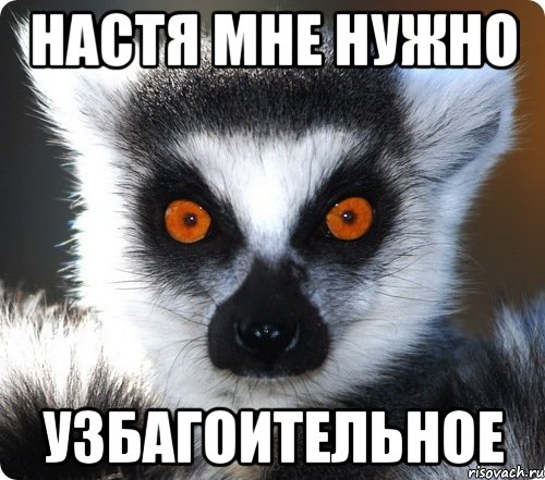 Настя мне нужно Узбагоительное