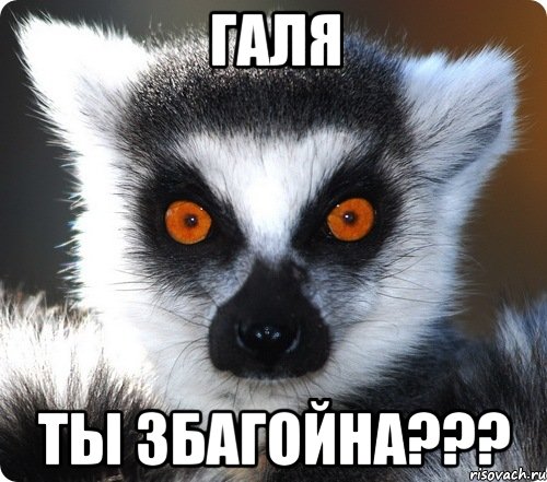 Галя ты збагойна???