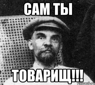 САМ ТЫ ТОВАРИЩ!!!, Мем   Ленин удивлен