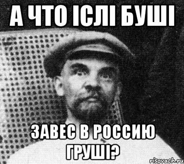 A что icлi Бушi завес в Россию грушi?, Мем   Ленин удивлен