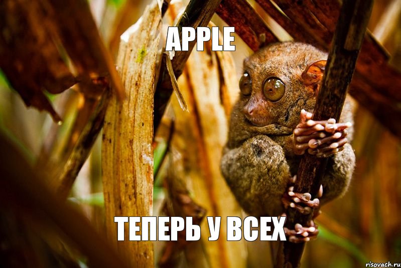 apple теперь у всех