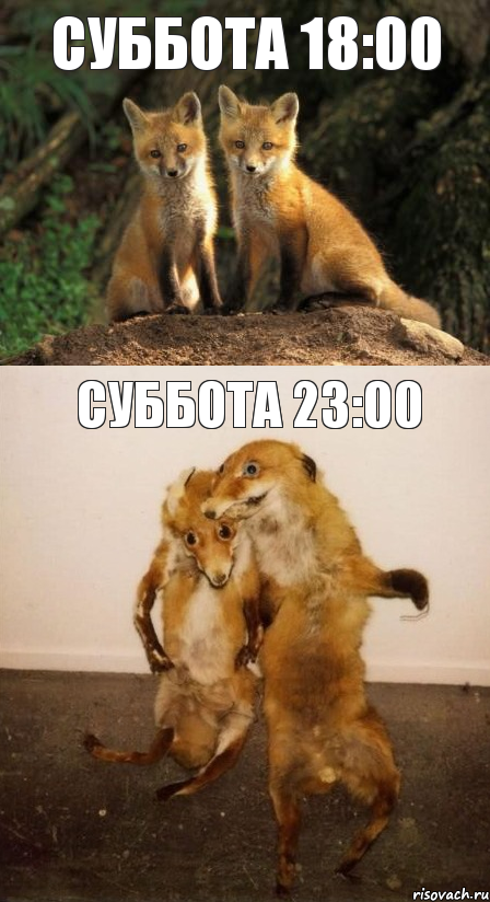 суббота 18:00 суббота 23:00, Комикс Лисицы