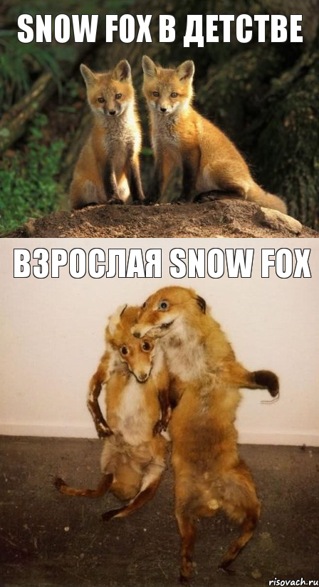 Snow fox в детстве Взрослая snow fox, Комикс Лисицы