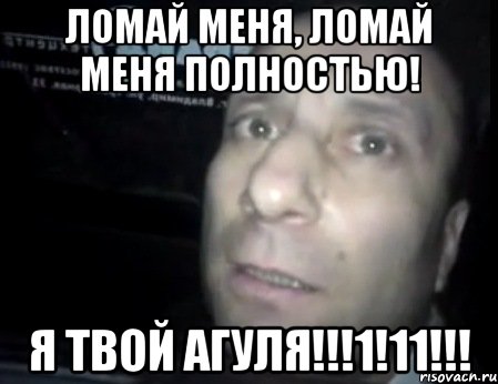 ЛОМАЙ МЕНЯ, ЛОМАЙ МЕНЯ ПОЛНОСТЬЮ! Я ТВОЙ АГУЛЯ!!!1!11!!!, Мем Ломай меня полностью