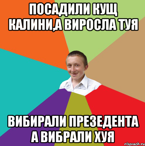 посадили кущ калини,а виросла туя вибирали презедента а вибрали хуя, Мем  малый паца