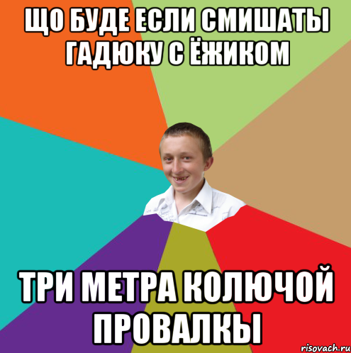 що буде если смишаты гадюку с ёжиком три метра колючой провалкы, Мем  малый паца