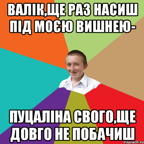 Валік,ще раз насиш під моєю вишнею- пуцаліна свого,ще довго не побачиш, Мем  малый паца