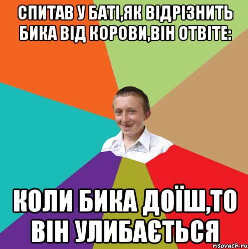 Спитав у баті,як відрізнить бика від корови,він отвіте: Коли бика доїш,то він улибається, Мем  малый паца