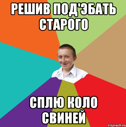 Решив под'эбать старого сплю коло свиней, Мем  малый паца