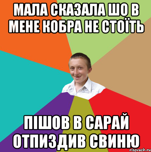 МАЛА СКАЗАЛА ШО В МЕНЕ КОБРА НЕ СТОЇТЬ ПІШОВ В САРАЙ ОТПИЗДИВ СВИНЮ, Мем  малый паца