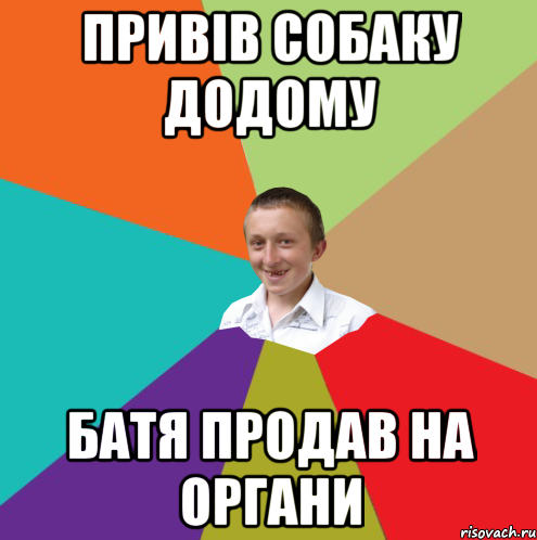 привів собаку додому батя продав на органи, Мем  малый паца