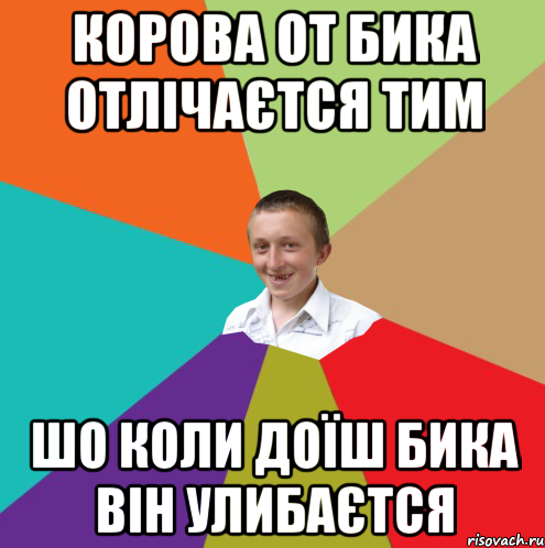 КОРОВА ОТ БИКА ОТЛІЧАЄТСЯ ТИМ ШО КОЛИ ДОЇШ БИКА ВІН УЛИБАЄТСЯ, Мем  малый паца