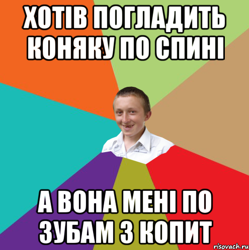 хотів погладить коняку по спині а вона мені по зубам з копит, Мем  малый паца